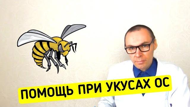 Первая помощь если укусила оса Первая помощь если укусила оса