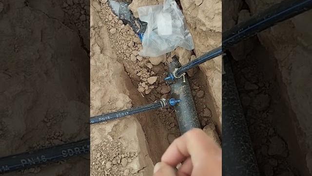 Тамчылатып суугаруу Тамчылатып суугаруу