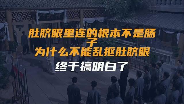 肚脐眼里连的根本不是肠子!为什么不能乱抠肚脐眼?终于搞明白了 肚脐眼里连的根本不是肠子!为什么不能乱抠肚脐眼?终于搞明白了