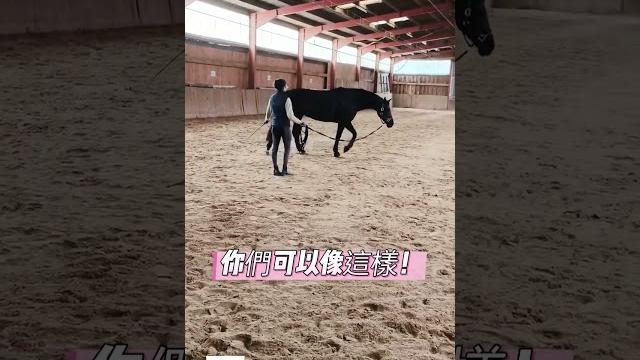 你和馬兒可以一起完成的比你想像的更多! #騎馬體驗 #學騎馬 #騎馬 #馬術課程 你和馬兒可以一起完成的比你想像的更多! #騎馬體驗 #學騎馬 #騎馬 #馬術課程