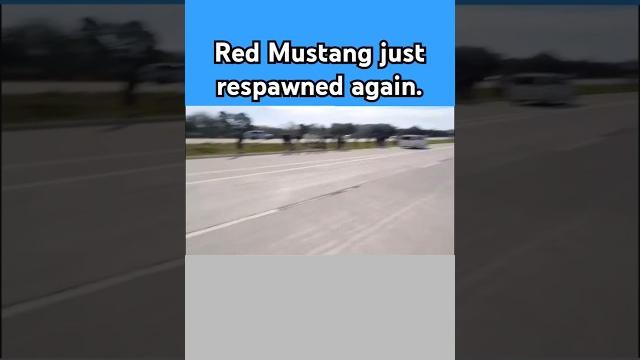 Did bro just respawn #cars #mustang #shelby #memes Did bro just respawn #cars #mustang #shelby #memes