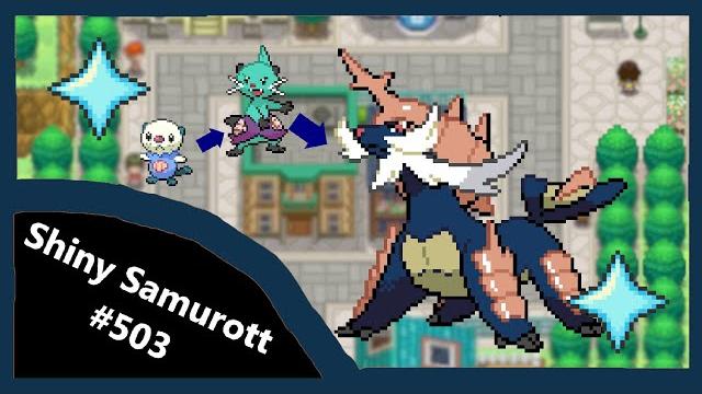 (live) shiny samurott (from oshawott) after 4,329 soft resets! unova shiny living dex #503 (live) shiny samurott (from oshawott) after 4,329 soft resets! unova shiny living dex #503
