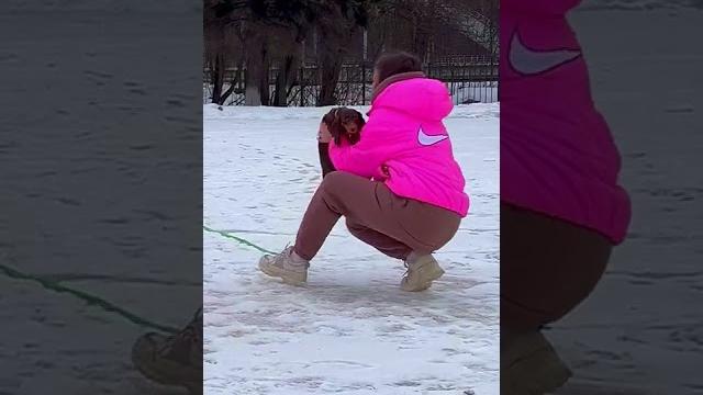 Тося больше любит камиллу... Тося больше любит камиллу...