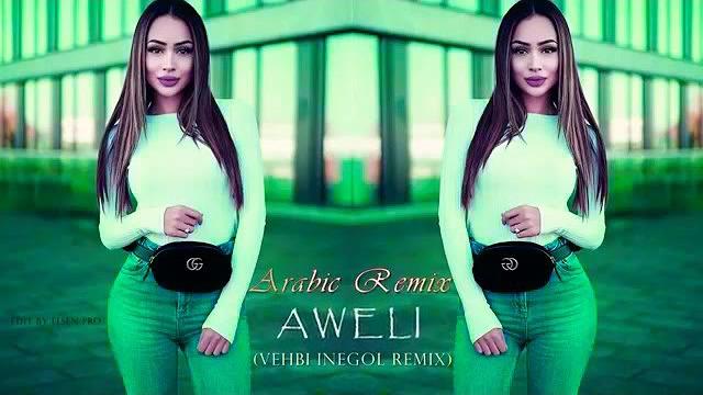 Ameli (2019) Ameli (2019)