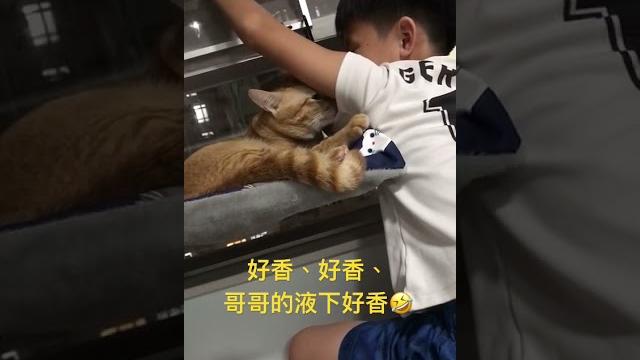 哥哥腋下太香笑聲太療癒 哥哥腋下太香笑聲太療癒