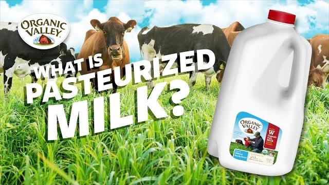 What is pasteurized milk? | ask organic valley What is pasteurized milk? | ask organic valley