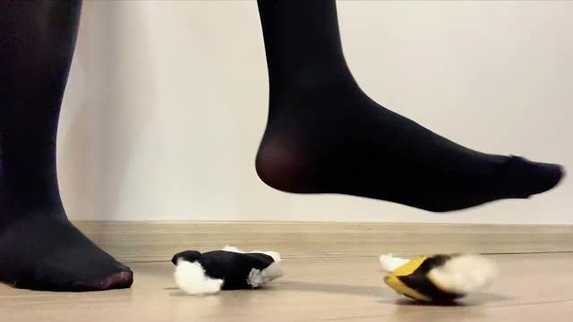 Giantess pantyhose feet crush part 2 Giantess pantyhose feet crush part 2