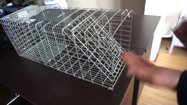 How to assemble a live animal trap How to assemble a live animal trap