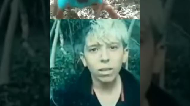 Pikabu ru story kartel Pikabu ru story kartel
