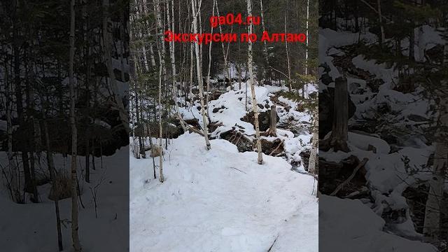 Гейзерное озеро алтай Гейзерное озеро алтай