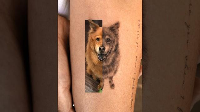 Mochi #tattoo #dogtattoo #shorts Mochi #tattoo #dogtattoo #shorts
