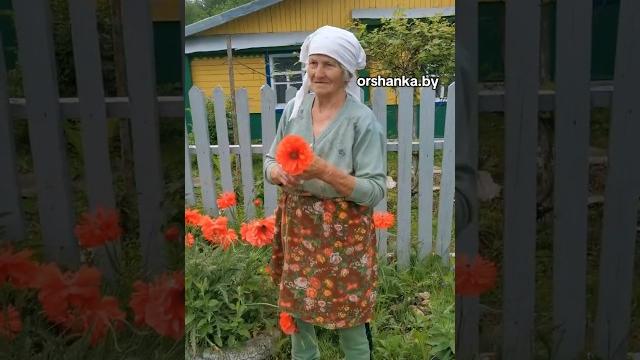 Маленькие путешествия. деревня барсуки Маленькие путешествия. деревня барсуки