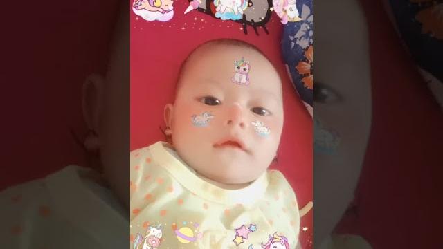 Ini salsa bilah Ini salsa bilah