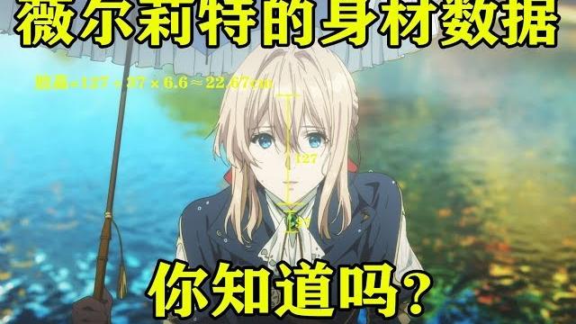 我算出了薇尔莉特的身材数据,b站第一人 我算出了薇尔莉特的身材数据,b站第一人