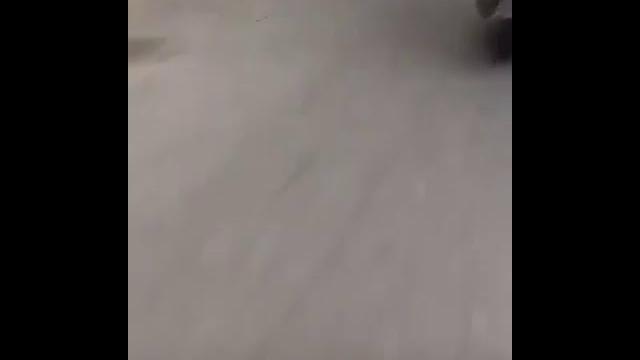 Siskaee ojol di atas motor Siskaee ojol di atas motor