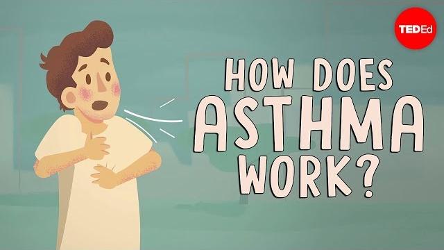 How does asthma work? - christopher e. gaw How does asthma work? - christopher e. gaw