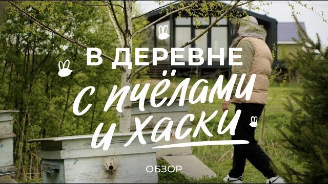 Жизнь в деревне: сколько стоит каркасный дом, как завести пчёл и содержать стаю хаски / sewera Жизнь в деревне: сколько стоит каркасный дом, как завести пчёл и содержать стаю хаски / sewera