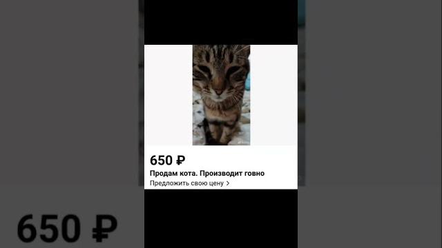 Товары авито Товары авито
