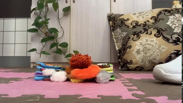 解压 解压