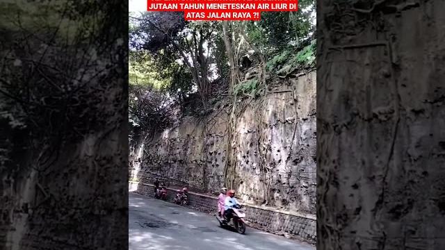 Dikira batu ! inilah ular bertapa jutaan tahun meneteskan air liur di atas jalan raya ?! #shorts Dikira batu ! inilah ular bertapa jutaan tahun meneteskan air liur di atas jalan raya ?! #shorts
