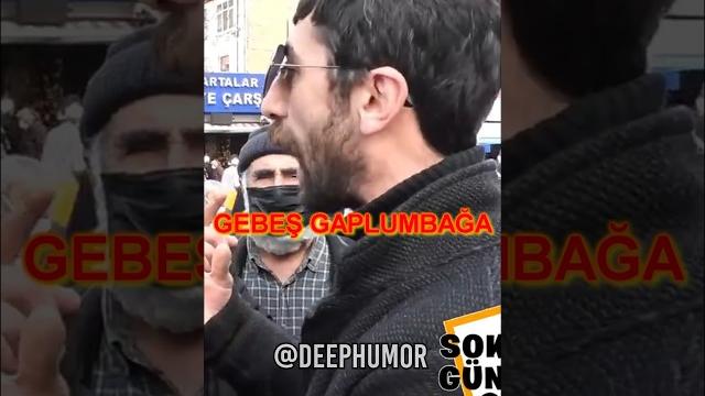 Gebeş kaplumbağa - deep humor Gebeş kaplumbağa - deep humor