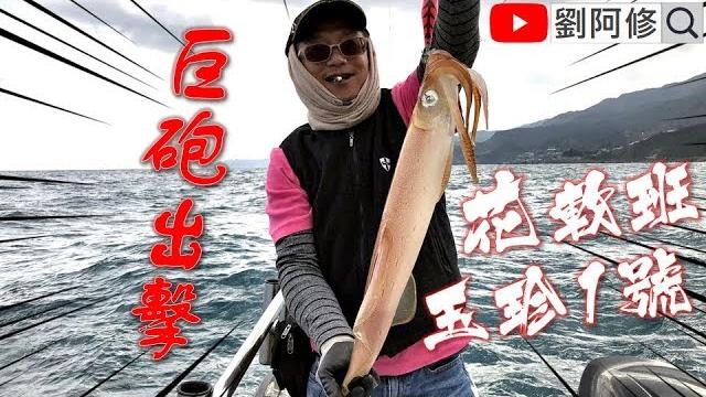 【boat fishing】how to fish giant cuttlefish/squid 【boat fishing】how to fish giant cuttlefish/squid