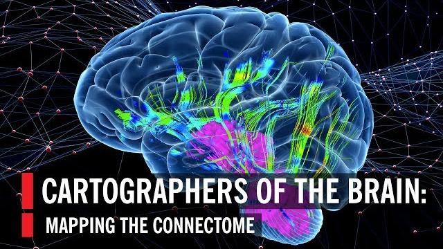 Cartographers of the brain: mapping the connectome Cartographers of the brain: mapping the connectome