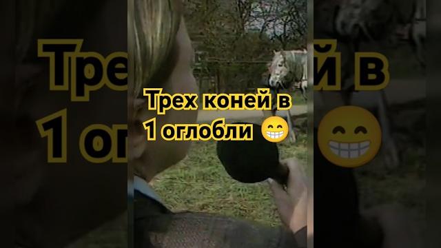 Кто о чем, а вшивый о бане Кто о чем, а вшивый о бане