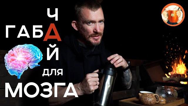 Габа чай. чай для мозга. тайваньский габа улун. Габа чай. чай для мозга. тайваньский габа улун.