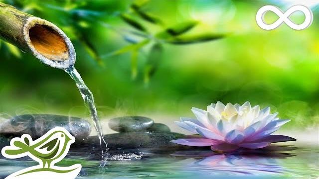 Soothing relaxation: relaxing piano music & water sounds for sleep, meditation, spa & yoga Soothing relaxation: relaxing piano music & water sounds for sleep, meditation, spa & yoga