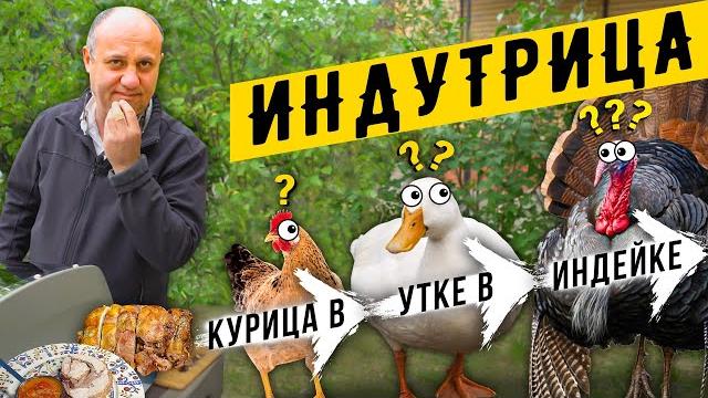 Блюдо кощея! индутрица или turducken - матрёшка из трёх птиц : индейка + утка + курица в одном блюде Блюдо кощея! индутрица или turducken - матрёшка из трёх птиц : индейка + утка + курица в одном блюде