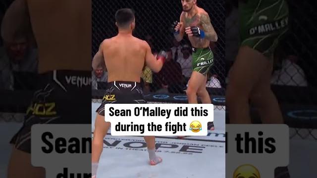 The spin The spin