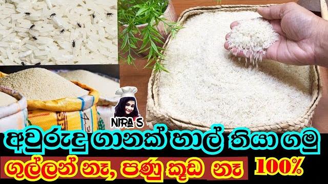 ගුල්ලන් සහ පණු කූඩ වලින් හාල් ටික බේරගන්න | hal kal thaba ganna krama | rice preservation methods ගුල්ලන් සහ පණු කූඩ වලින් හාල් ටික බේරගන්න | hal kal thaba ganna krama | rice preservation methods