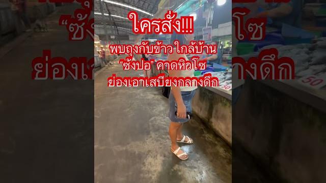 พบถุงกับข้าวใกล้บ้านซ้งปอคาดหิวซูย่องเอาเสบียงกลางดึก #ไทยรัฐนิวส์โชว์ #news #ไทยรัฐทีวีช่อง32hd  พบถุงกับข้าวใกล้บ้านซ้งปอคาดหิวซูย่องเอาเสบียงกลางดึก #ไทยรัฐนิวส์โชว์ #news #ไทยรัฐทีวีช่อง32hd 