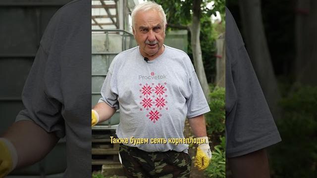 Что ещё не поздно посадить в июле Что ещё не поздно посадить в июле