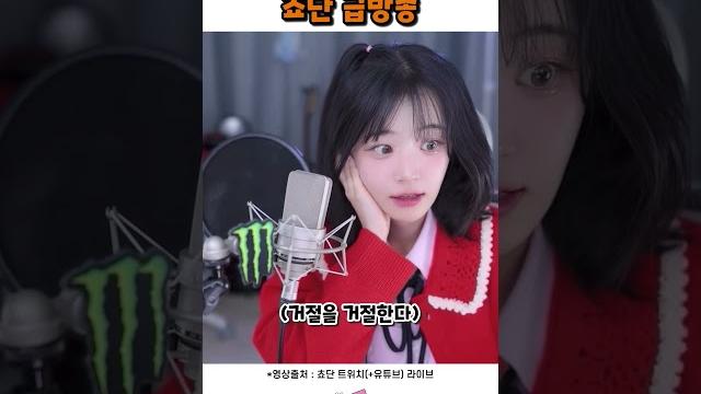 쵸단 급방종 쵸단 급방종
