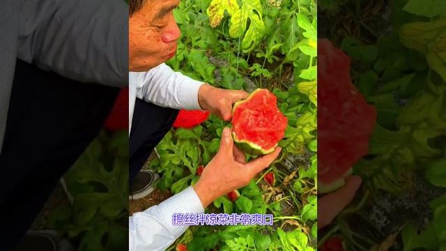 西瓜皮薄甜度高 阳台小院均可种植 西瓜皮薄甜度高 阳台小院均可种植