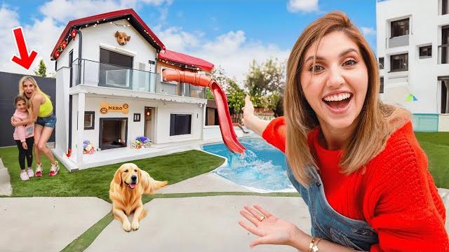 I built a dream dog house! I built a dream dog house!
