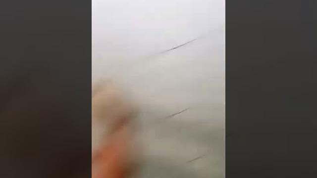Tiktok angelina_ratulangi Tiktok angelina_ratulangi