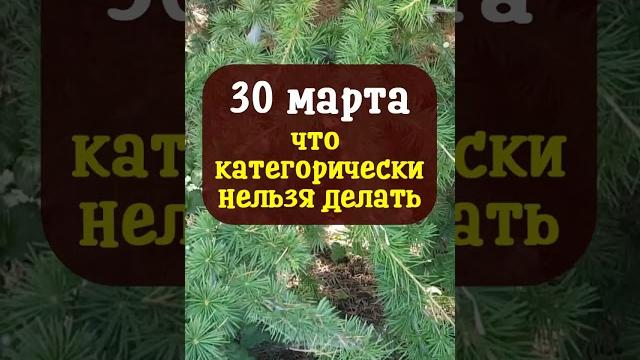 30 марта народный праздник алексей теплый, человек божий. что нельзя делать. народные приметы 30 марта народный праздник алексей теплый, человек божий. что нельзя делать. народные приметы