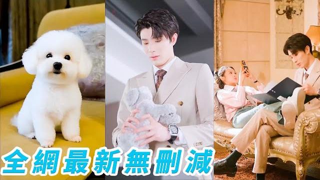 和死對頭總裁一夜錯情後,她每晚9點準時變成狗,想變回正常人必須再親一次,可總裁怕狗又嘴硬,她只好霸王硬上弓...#甜宠 和死對頭總裁一夜錯情後,她每晚9點準時變成狗,想變回正常人必須再親一次,可總裁怕狗又嘴硬,她只好霸王硬上弓...#甜宠