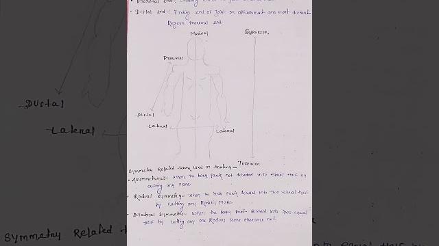 #introduction to anatomy and physiology #dmrt#osssc radiographer #radiographer_course #notes #introduction to anatomy and physiology #dmrt#osssc radiographer #radiographer_course #notes