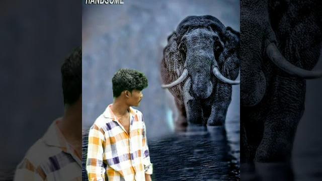Vikash 3gp video Vikash 3gp video