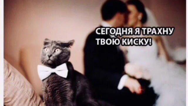 Самые смешные картинки с надписями! видеоприколы Самые смешные картинки с надписями! видеоприколы